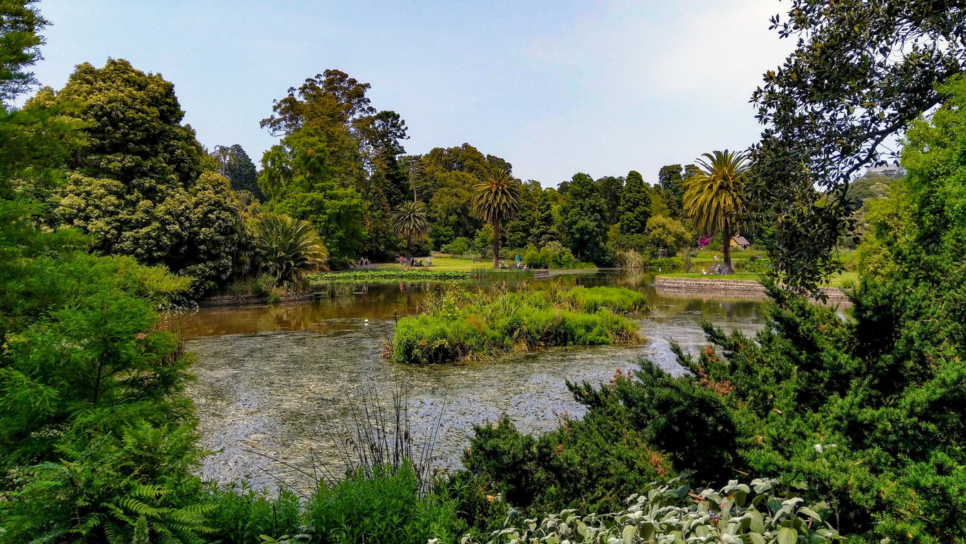 The 10 Best Botanical Gardens in and around Melbourne