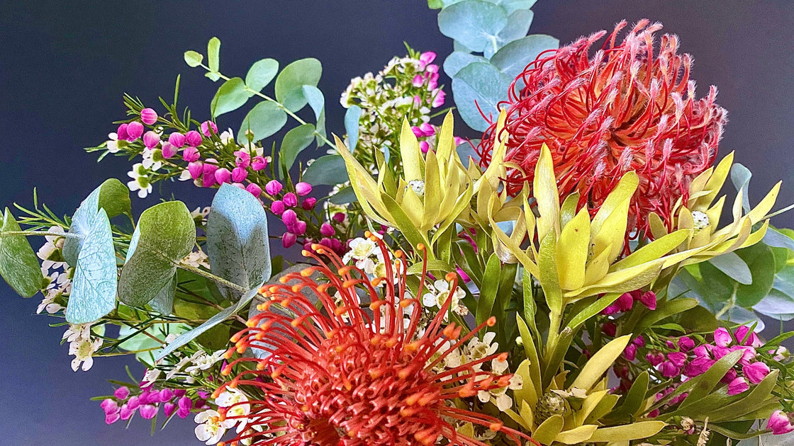 Our 10 Favourite Australian Native Flowers Matilda's Flowers