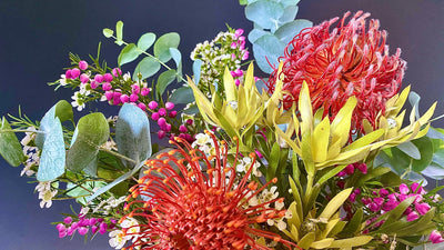 Our 10 Favourite Australian Native Flowers