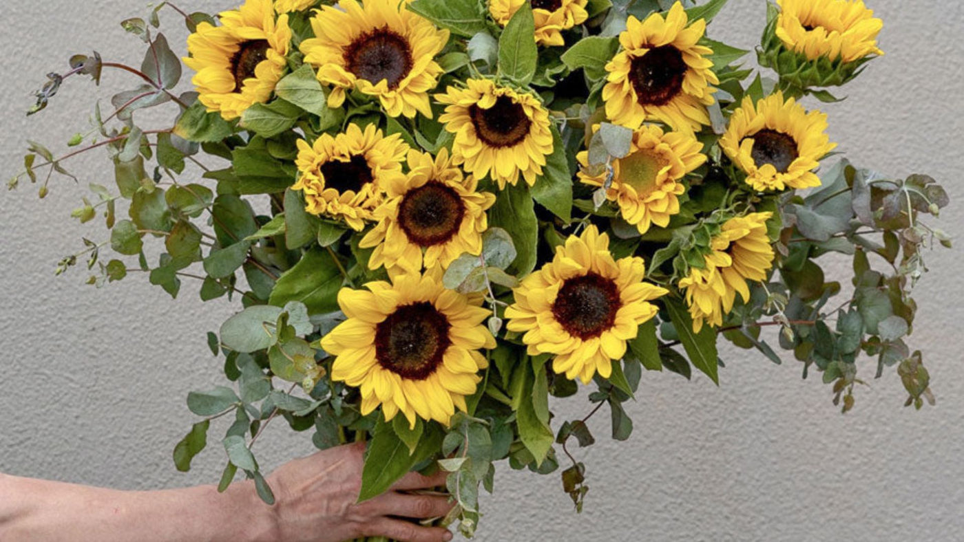 A bouquet of summer sunflowers
